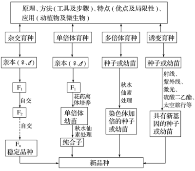 生物育種 2019高考生物二輪復習專題六核心突破（含學案答案）