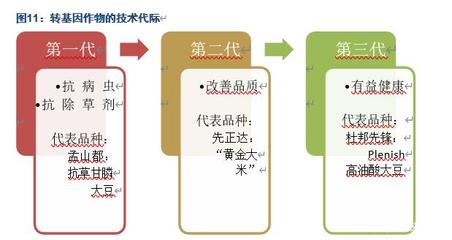 隆平高科深度解析:種質、研發優勢突出,持續引領生物育種